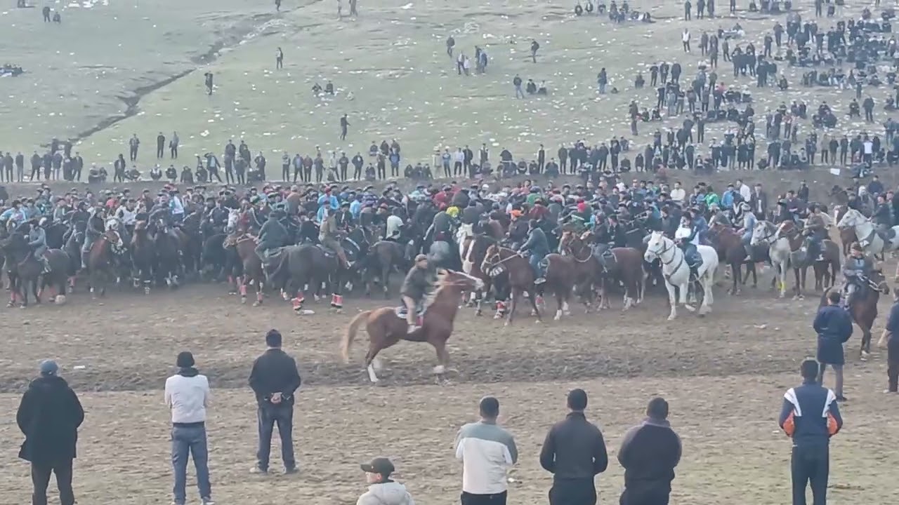 Абдулла Алибеков куп кариси охири карабил от отабек умаров