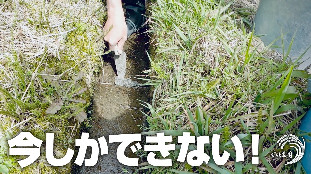 【なんでもやる！】春のお仕事。モルタルを練ってU字溝の補修します。