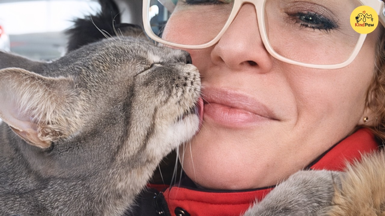 Привязчивая спасительница, которая превращала каждую поездку в историю любви.