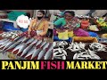 Goa Wholesale Fish Market Panjim | Cheapest Fish Market In Goa 🐬||