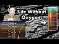 Life in Oxic, Suboxic, &amp; Anoxic Sediments (Yes, Some Life Doesn't Require Oxygen!) | GEO GIRL