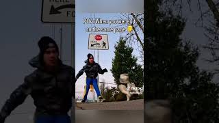 Impossible de ne pas rire ! #dog #funny #animals #happy #chien