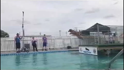 Gracie Air Retrieve may 2021