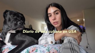 Viviendo En Estados Unidos La Ciudad Donde Vivo Y Rutina En Casa , Vida En Pareja