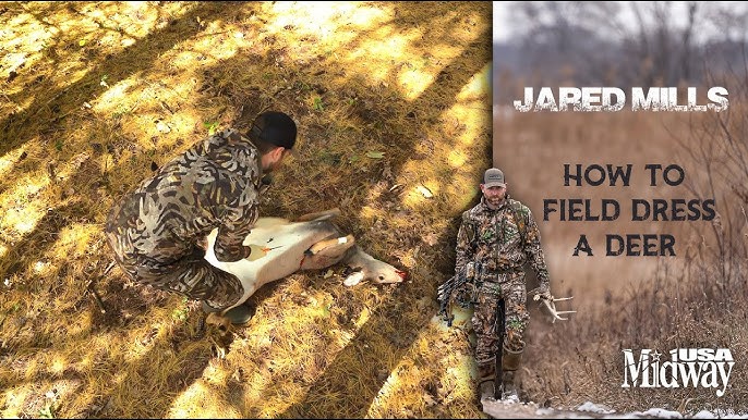 Learn Properly Field Dress A Deer With 2024