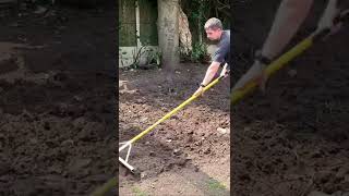 Famous New lawn from seed full video on my YouTube channel Profile
