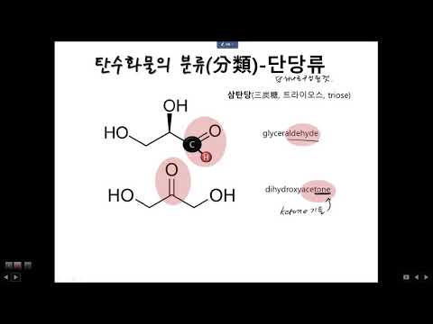 식품화학 탄수화물