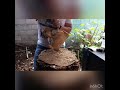 Cómo hacer una máscara de madera.