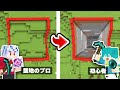 初心者vsプロ 整地に技術は必要 30000ブロック露天堀り対決 マイクラ マインクラフト 