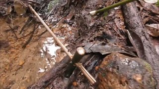 Easiest Bamboo Bird Trap at the River Bathing Spot