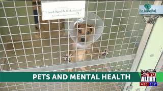 Unconditional love: How pets at the Humane Society of El Paso change lives, improve mental health