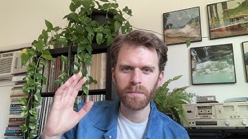 Self-Organizing Sound, the Technology Fetish, and the Smooth/Stepped Generator