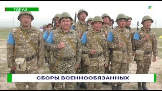 Сборы военнообязанных