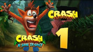 CRASH BANDICOOT 1 (INSANE TRILOGY) (1)