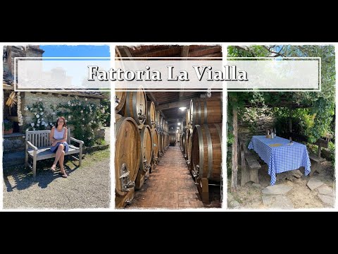 Roadtrip Teil 7, Fattoria La Vialla