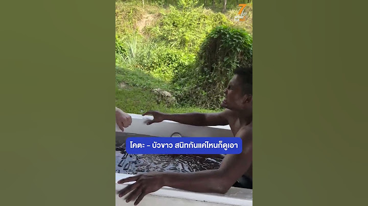 โคตะกับบัวขาว สนิทกันแค่ไหนก็ดูเอา  #มวยไทย #OLE777Sports #กีฬา #sports #โคตะมิอุระ #บัวขาวบัญชาเมฆ