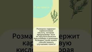 #розмарин #польза #рецепты