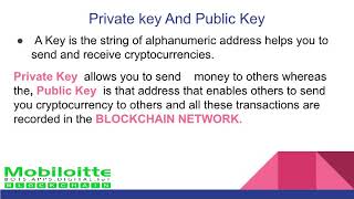 Everything to know about cryptocurrency wallet