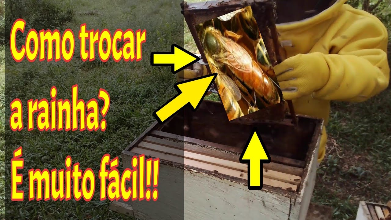 Como trocar a rainha? Essa é a maneira mais fácil