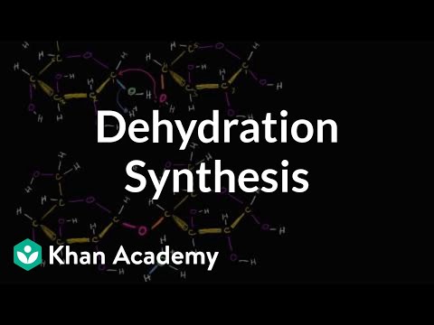 Video: Hvilken reaktion repræsenterer en dehydreringssyntese?
