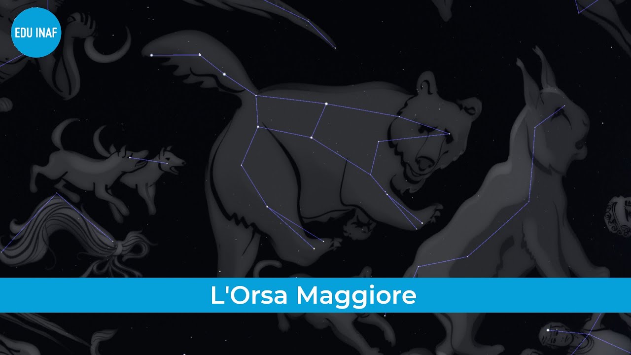 Lovabear 6 bustine corredino - orso rosa