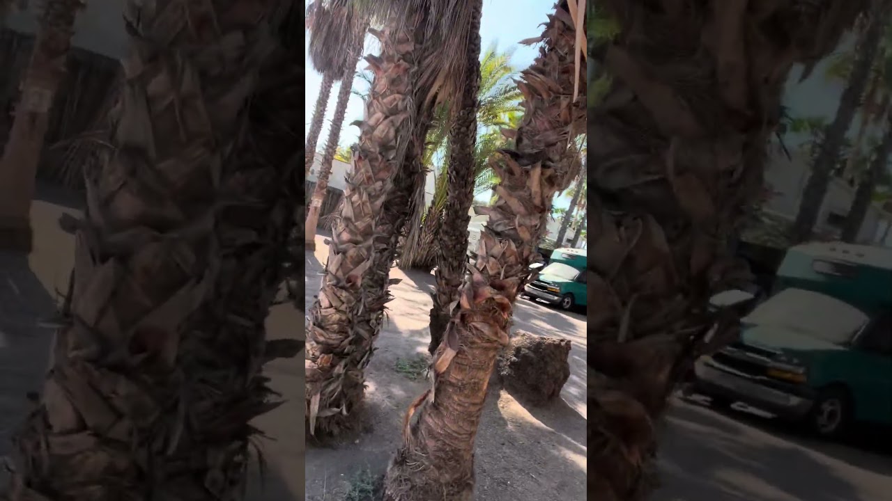 Romanita RV Park in Loreto Baja California Mexico