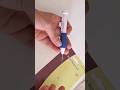   الإبرة الشرقية