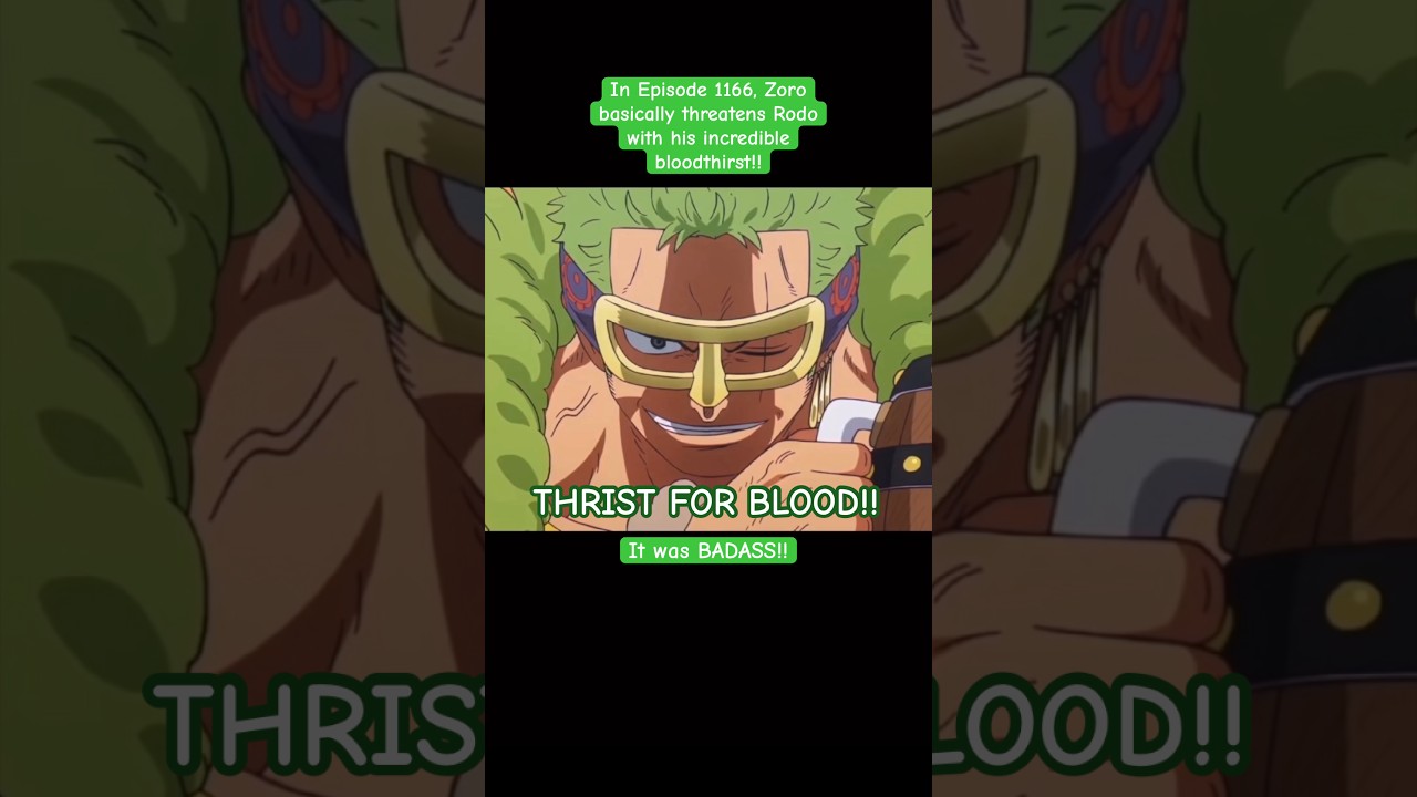 Zoro's EXTREME Bloodlust!! | One Piece Highlights