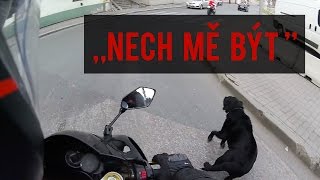 Motol, Temelín, chtěl mě sežrat pes MOTOVLOG #21