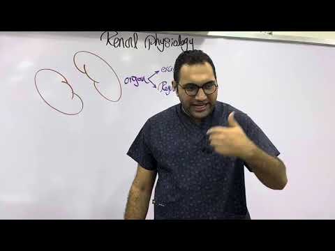   1 القصر العيني ٢٠٢٤