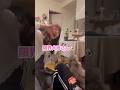 犬2匹と暮らす独身女がやばすぎたwwwww #tiktok #shorts