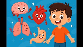 Benim İçimde Minik Kahramanlar Eğlenceli Organlar Şarkısı Çocuklara Özel