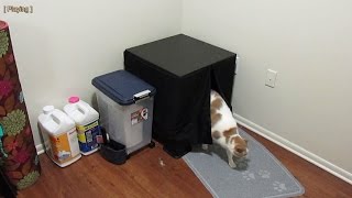 end table kitty litter