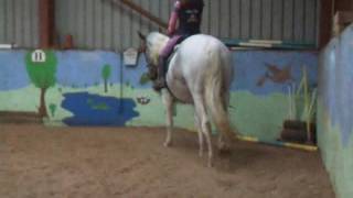Pixie Jay and Patricia Haskins Bitless Novice 34 October 2016