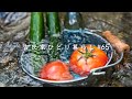 海と川と古民家でのんびり過ごす一人暮らしの日常【田舎ASMR】Relaxing summer life in an old house【Countryside Life】