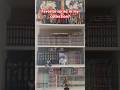#manga #anime #onepiece #deathnote #dragonball #dragonballz #naruto #berserk #vinlandsaga