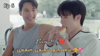 பூக்கள் பூக்கும் தருணம்😍💞Ep 6 Tamil Voice Over Thai New BL Series#tamilexplanation#trending#ytshorts