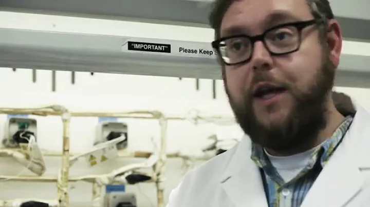 My Dorothy Hodgkin Fellowship: Russell Binions