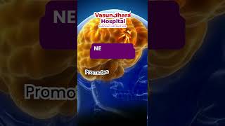 Advantages of Essential Folic Acid Intake During Pregnancy | Vasundhara Hospitals | Hyderabad