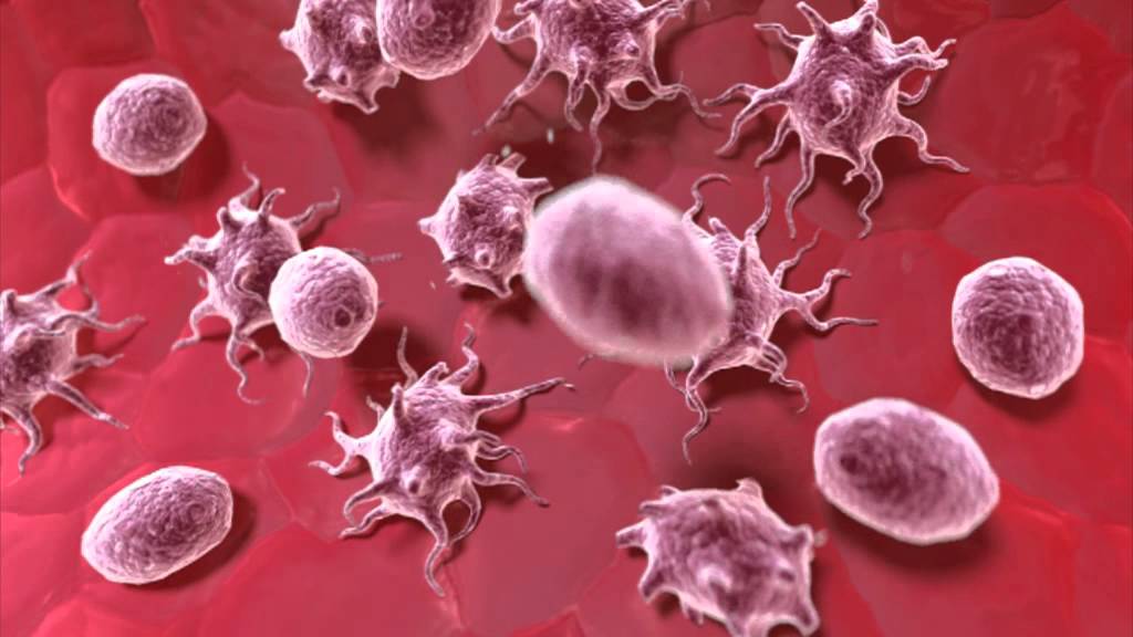 Thrombosis - Excerpta Medica - Cortical Studios