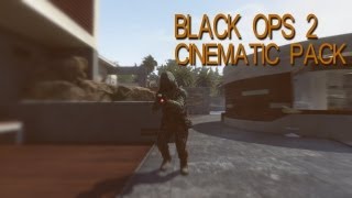 BLACK OPS 2 : [RAID] CINEMATIC PACK [59,94FPS]