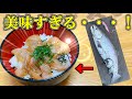 【今シーズン限定の美味しさ！？】釣った海アメマスで絶品漬け丼を作る！【北海道　海アメマス　海サクラマス　】