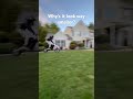 Lil jump #viral #automobile #amtb #funnymemes #wheelie #mtb #dirtbiketricks #funnypictures #wheelies