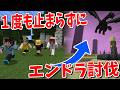 ADHDなら１度も立ち止まらずにエンドラ討伐できる説 - マインクラフト