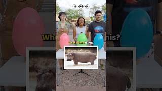 Only a Genius Can Answer All of These Animals Questions Correctly