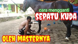 cara mengganti sepatu kuda