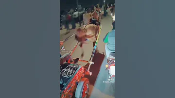 رهوين اسكندريه اسكندريه سباق الخيال 
