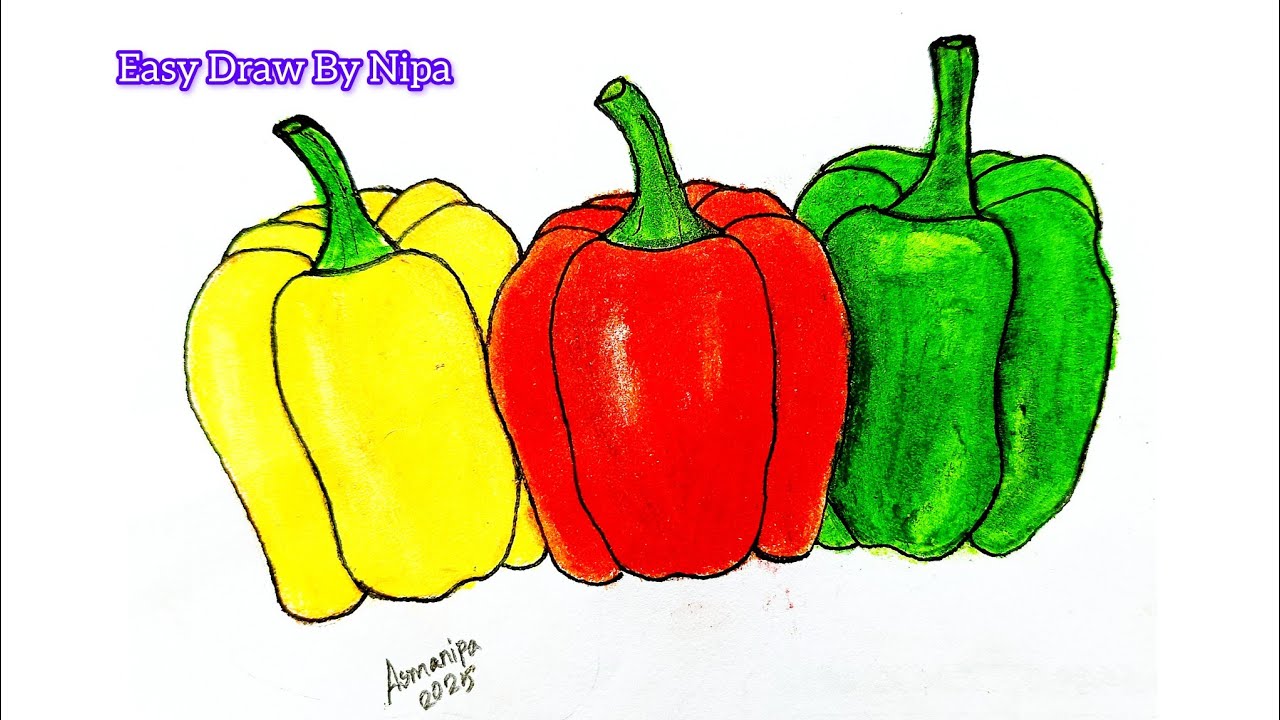 How to draw Bell pepper/Capsicum Easy || Vegetable Drawing
