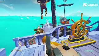 The sot tage