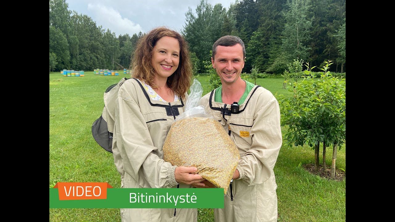 Žiedadulkių rinkimas daugiaaukščiuose aviliuose